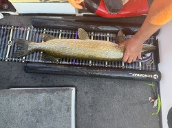 Photo de la prise