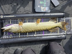 Photo de la prise